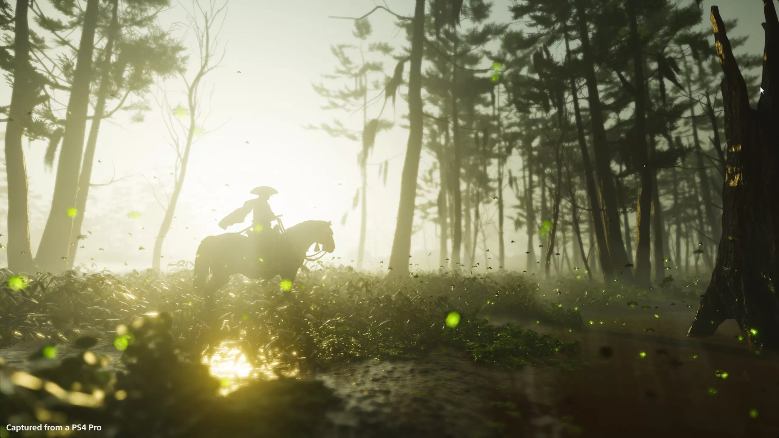 Ghost of Tsushima Recenzia screenshot 8