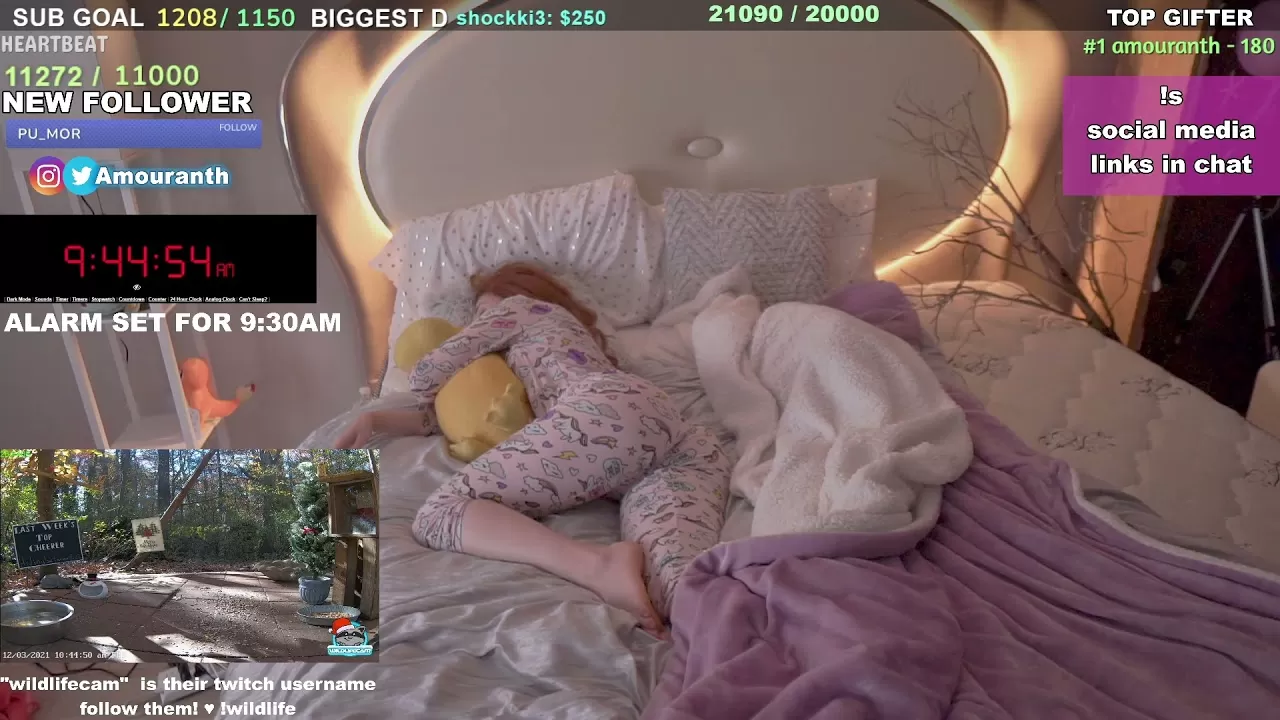 Amouranth sleep stream