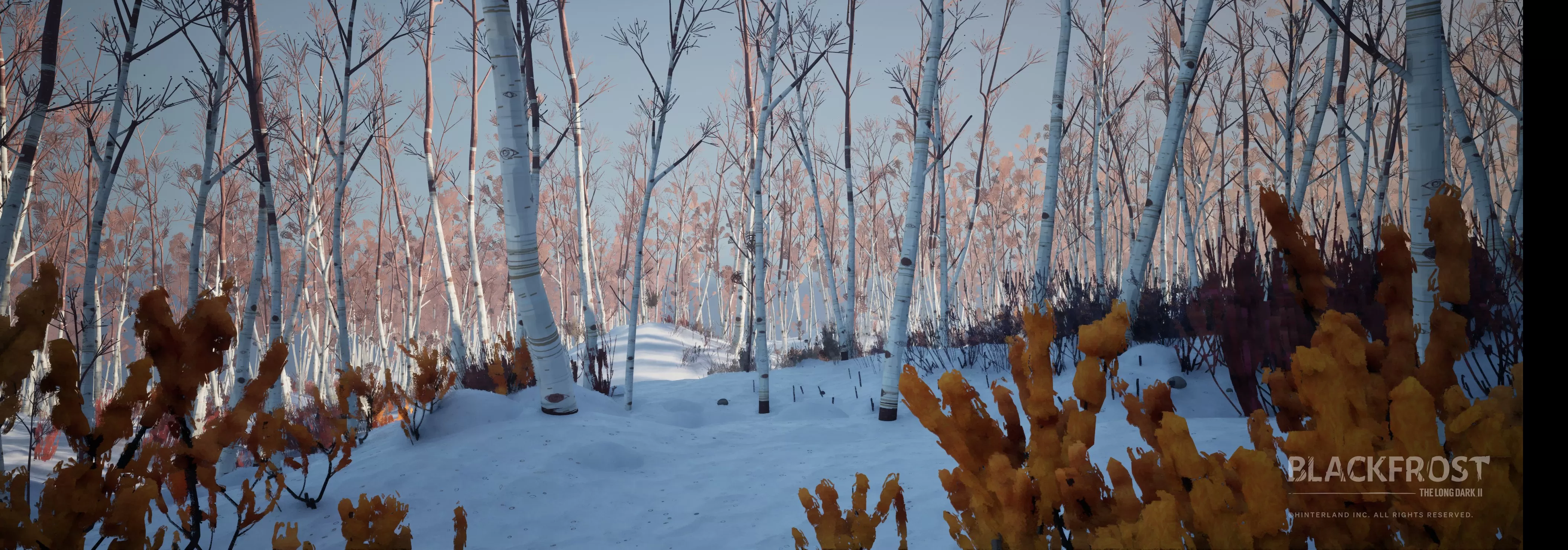 BLACKFROST The Long Dark 2 screenshot