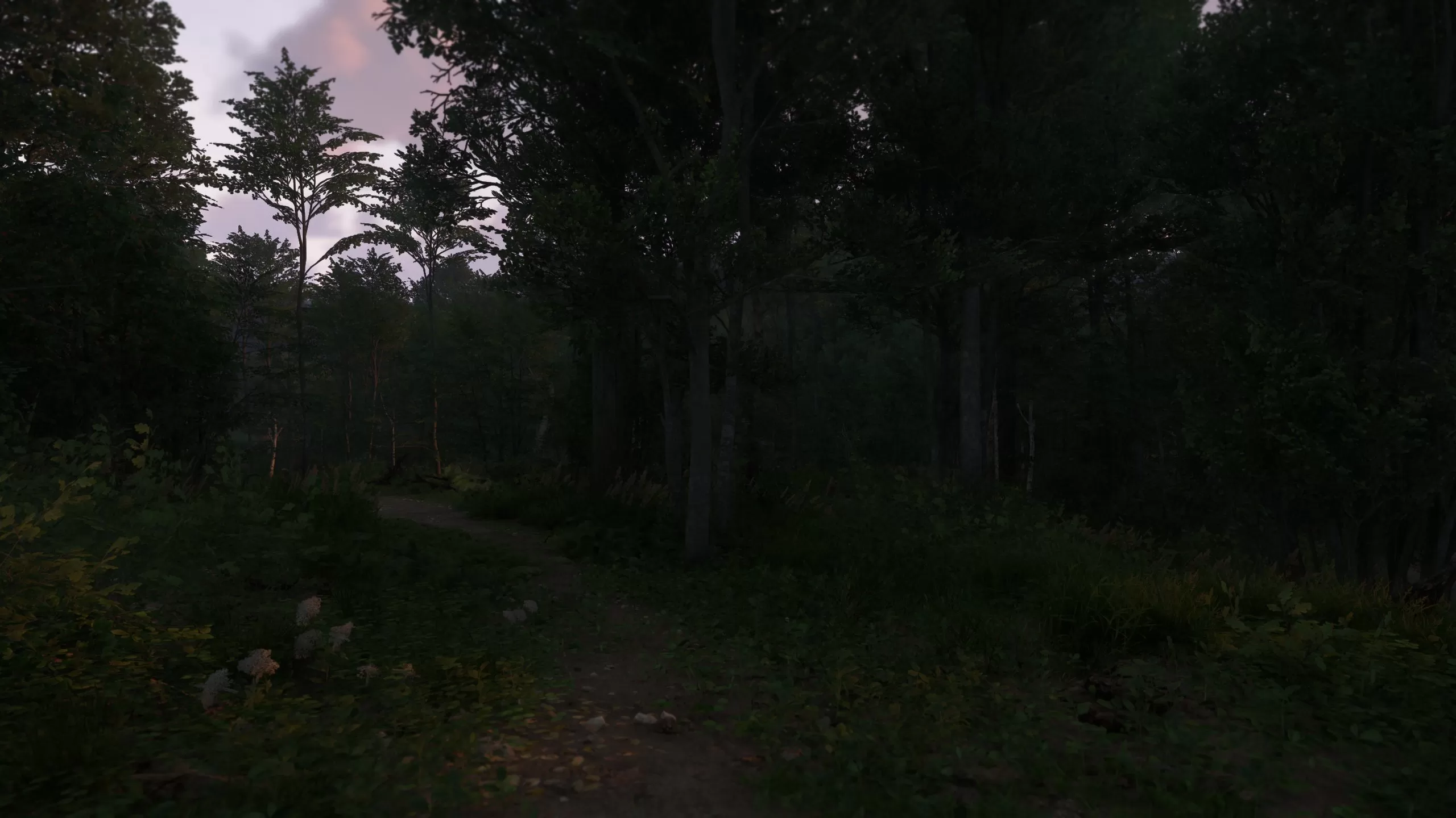 Kingdom Come Deliverance 2 Screenshot 6