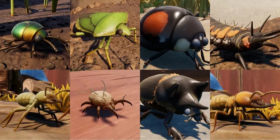 Grounded Woodpile Bugs