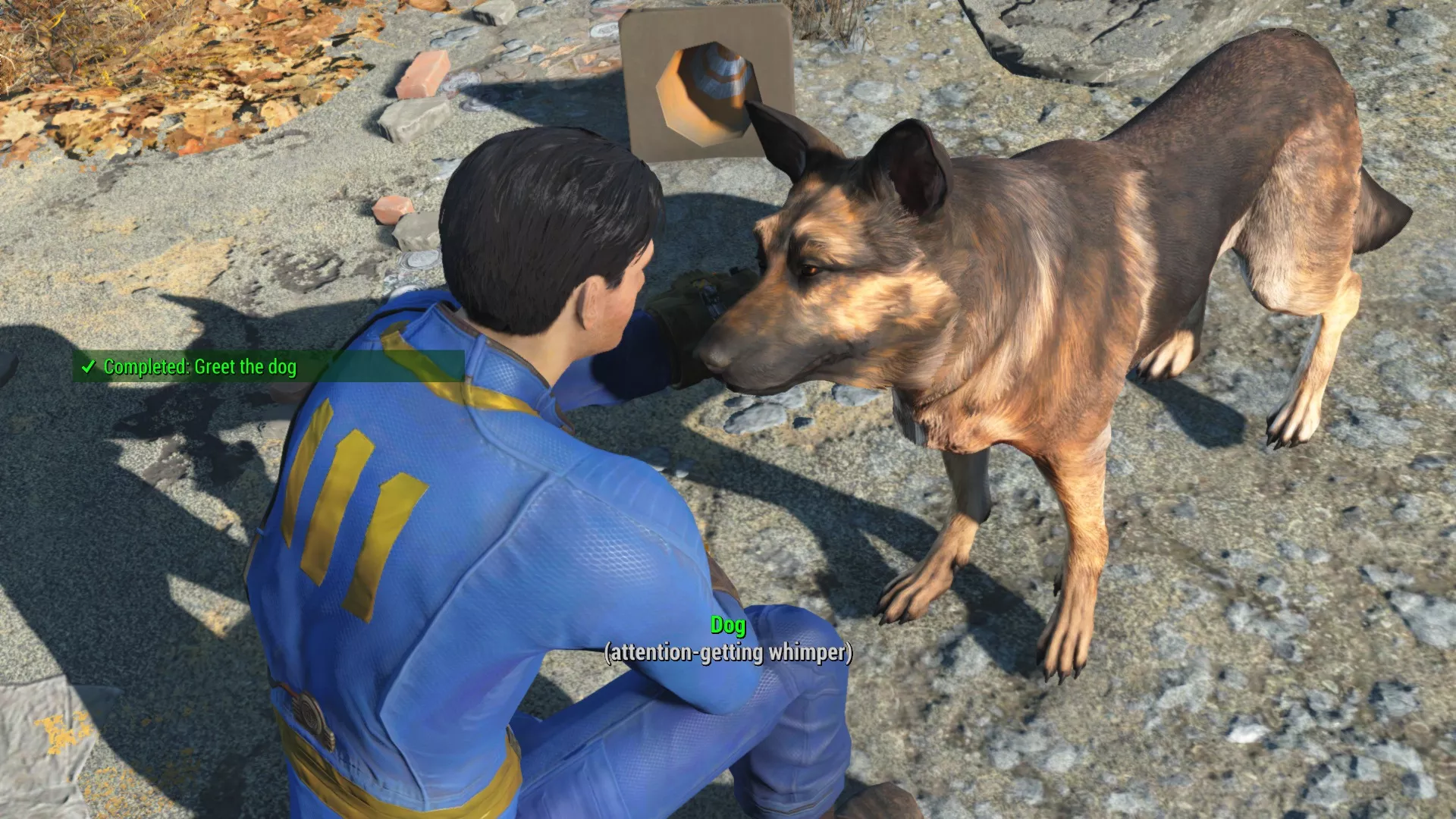 Fallout4-2015-11-11-22-03-09-26