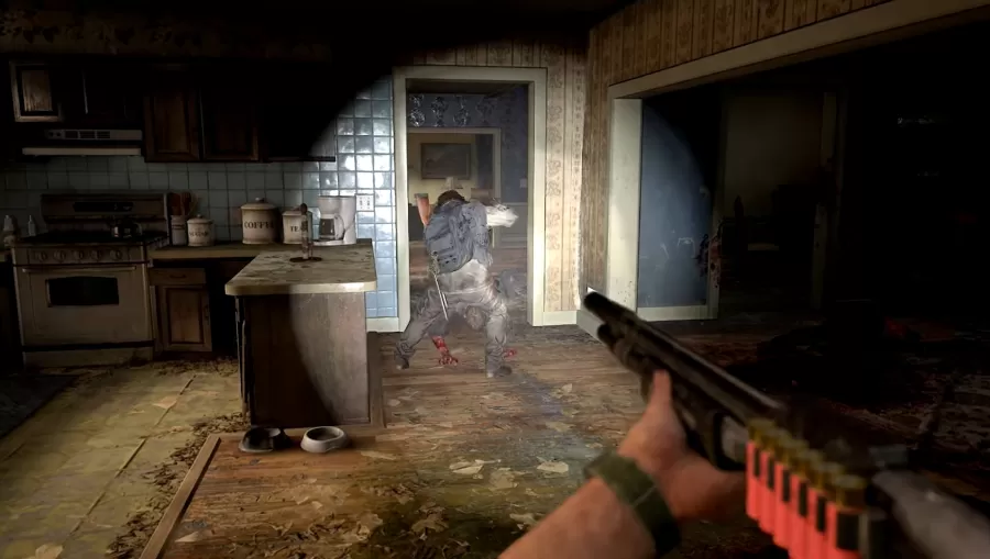 The Last of Us Part I FPS mod 3