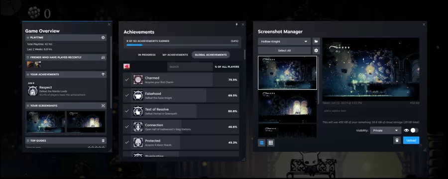 Steam Screenshot 5