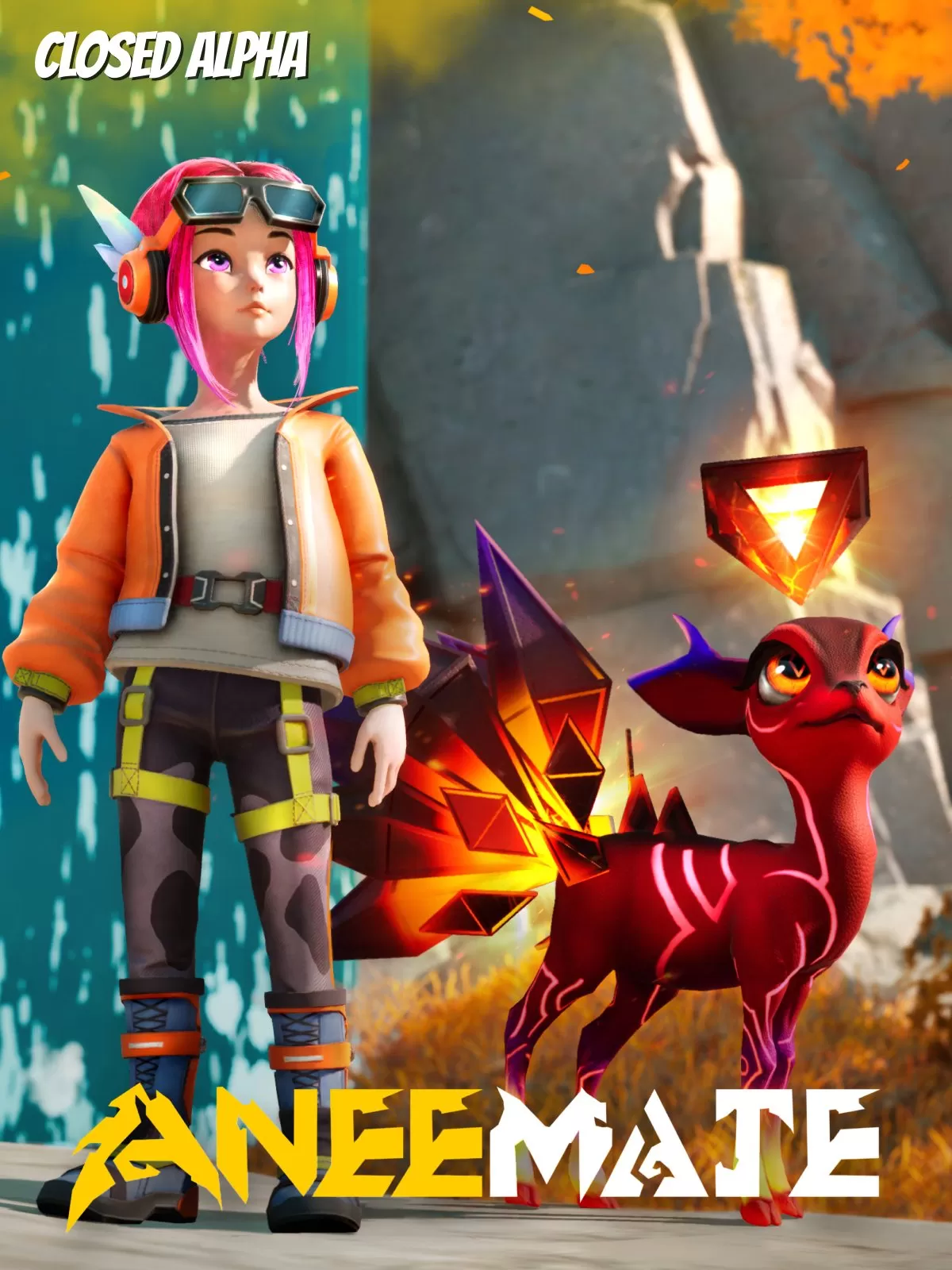 Box-art pre AneeMate