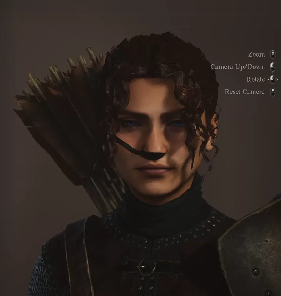 Dragons Dogma 2 Character Creator 10