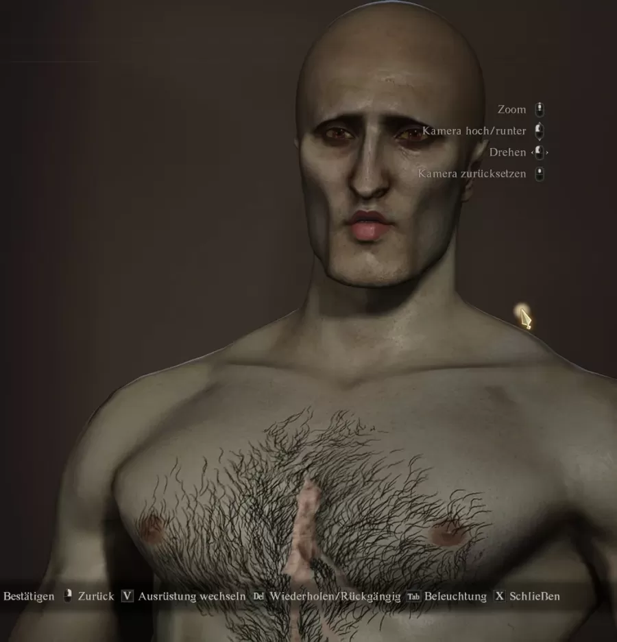 Dragons Dogma 2 Character Creator 11