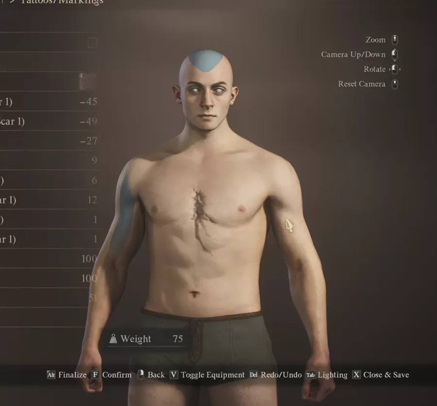 Dragons Dogma 2 Character Creator 6