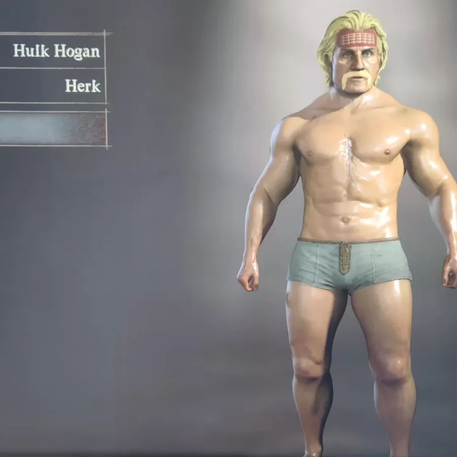 Dragons Dogma 2 Character Creator 9