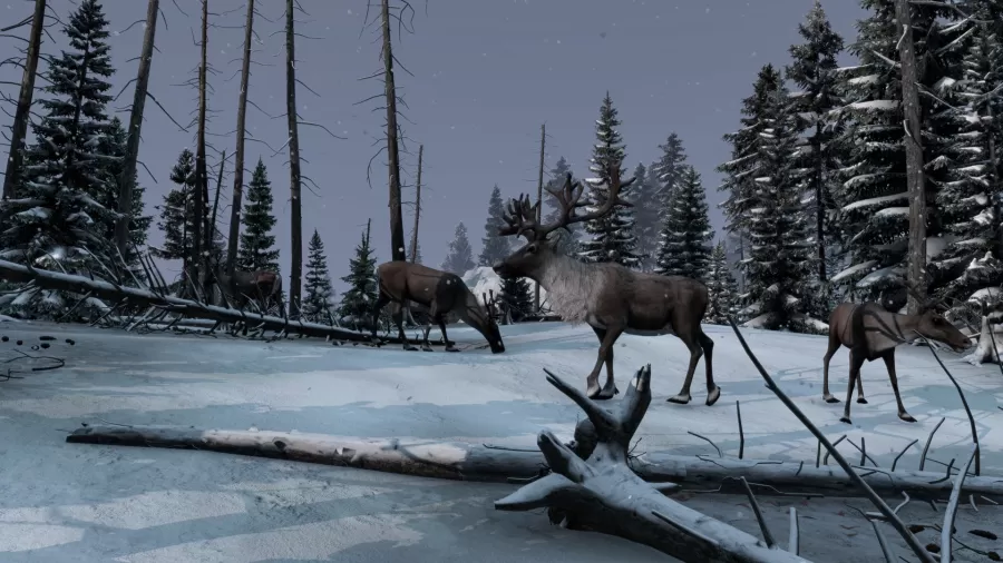 DayZ_Frostline_Foto_4