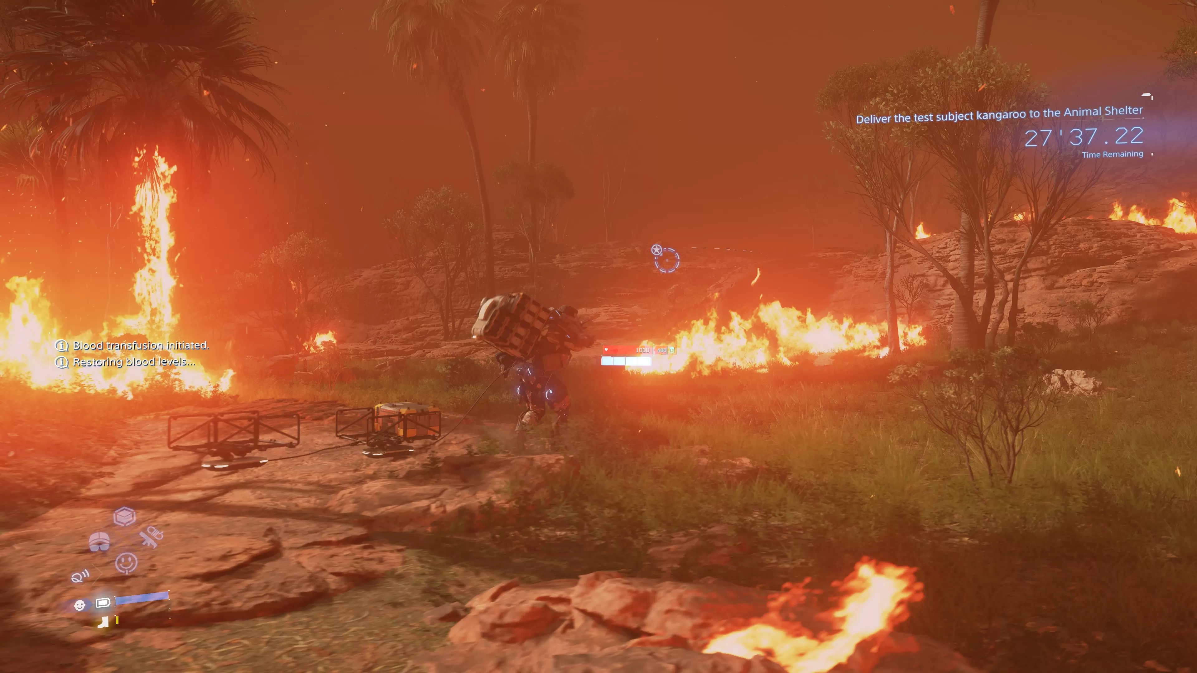 197977e4de016-screenshotUrl