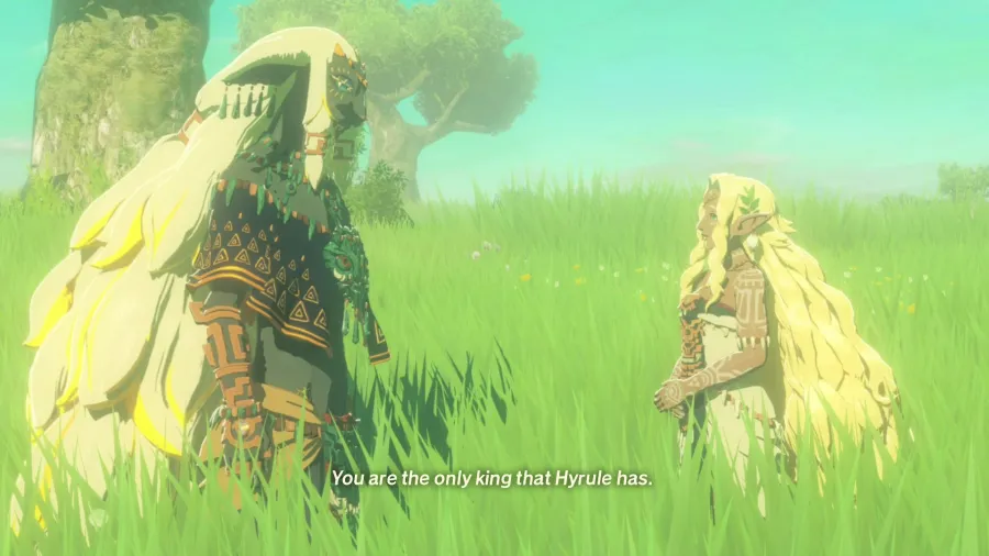 Hyrule Warriors Age of Imprisonment 1
