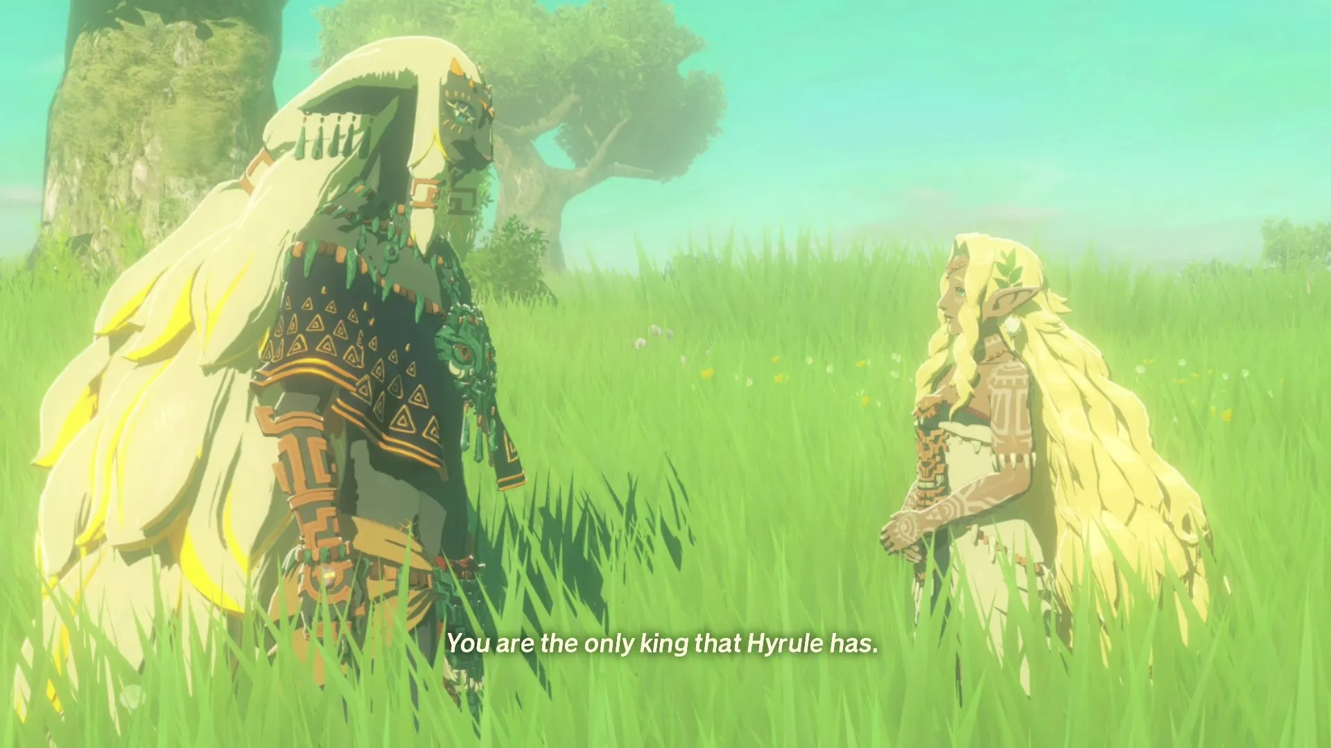 Hyrule Warriors Age of Imprisonment 1