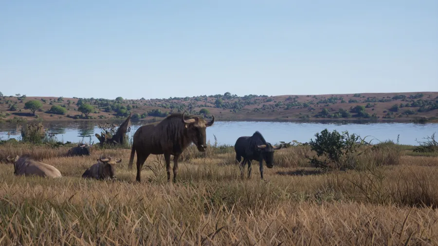 Way of the Hunter 2 Africa update 2
